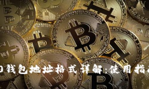 TokenIM 2.0钱包地址格式详解：使用指南与注意事项