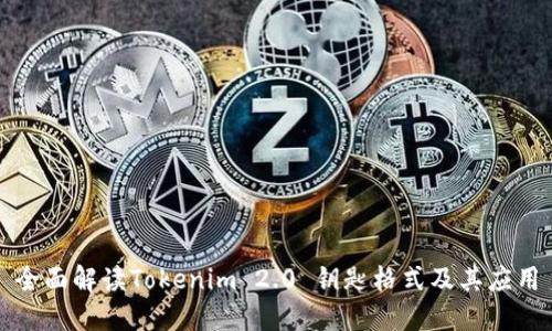 全面解读Tokenim 2.0 钥匙格式及其应用