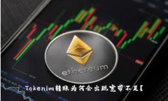 Tokenim转账为何会出现宽带不足？