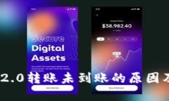 Tokenim 2.0转账未到账的原因及解决办法