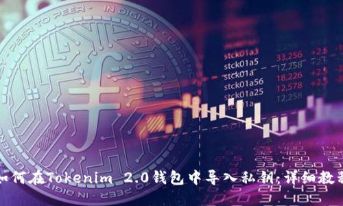 如何在Tokenim 2.0钱包中导入私钥：详细教程