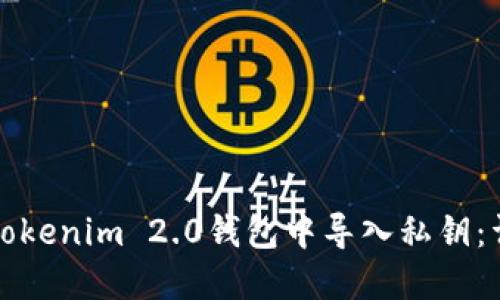 如何在Tokenim 2.0钱包中导入私钥：详细教程