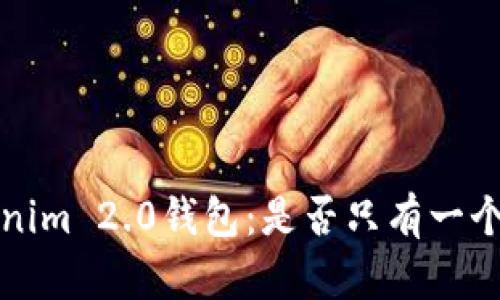  Tokenim 2.0钱包：是否只有一个地址？