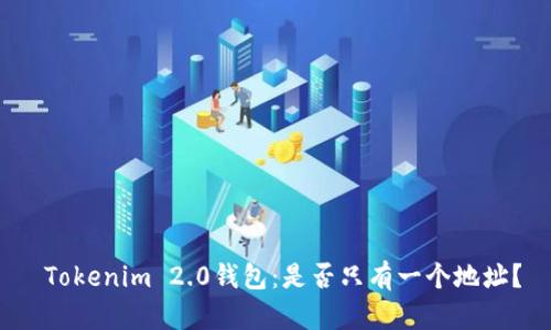  Tokenim 2.0钱包：是否只有一个地址？