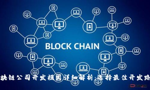 区块链公司开发模式详细解析：选择最佳开发路径