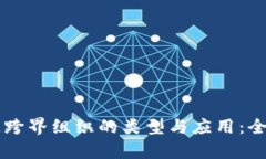 区块链跨界组织的类型与应用：全面解析