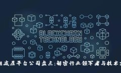 区块链底层平台公司盘点：解密行业领军者与技