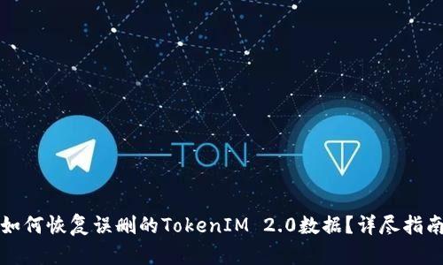 如何恢复误删的TokenIM 2.0数据？详尽指南