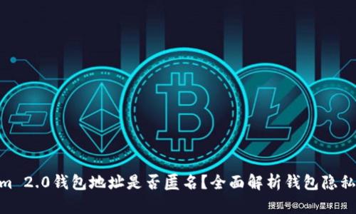 : Tokenim 2.0钱包地址是否匿名？全面解析钱包隐私保护措施