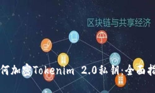 如何加密Tokenim 2.0私钥：全面指南