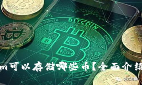 Tokenim可以存储哪些币？全面介绍和解析