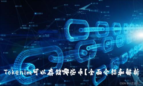 Tokenim可以存储哪些币？全面介绍和解析