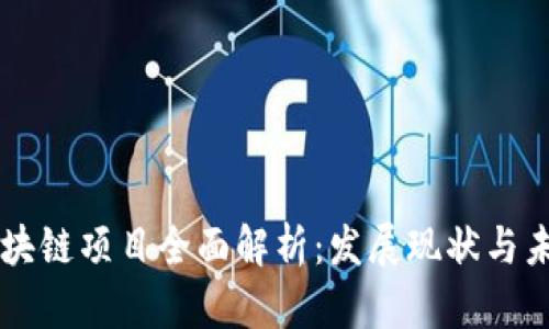 南康区块链项目全面解析：发展现状与未来潜力