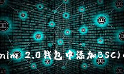 如何在Tokenim 2.0钱包中添加BSC（币安智能链）