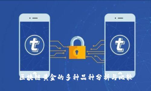 区块链黄金的多种品种分析与比较