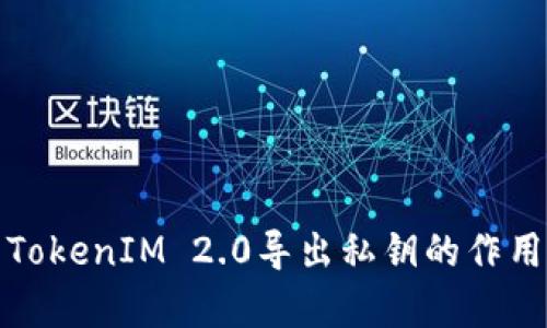 深入解析TokenIM 2.0导出私钥的作用与安全性
