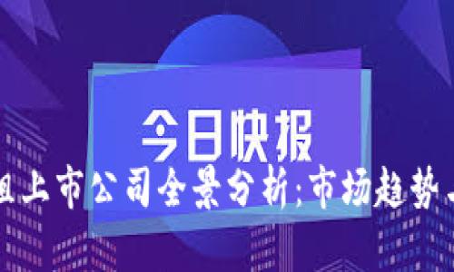 区块链重组上市公司全景分析：市场趋势与未来前景