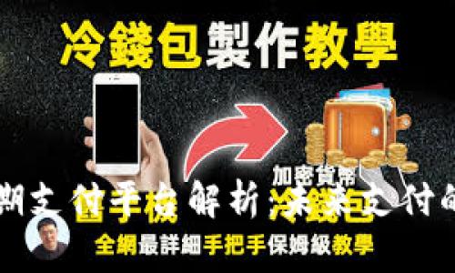 区块链后期支付平台解析：未来支付的前沿力量