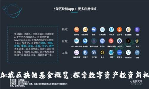 新加坡区块链基金概览：探索数字资产投资新机会
