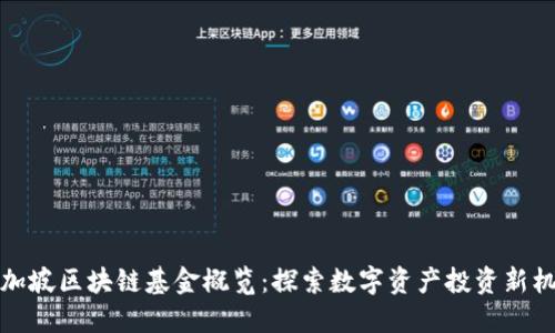 新加坡区块链基金概览：探索数字资产投资新机会