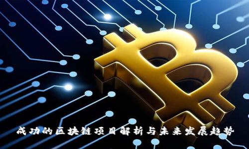成功的区块链项目解析与未来发展趋势