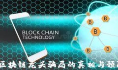 揭秘！区块链龙头骗局的真相与预防指南
