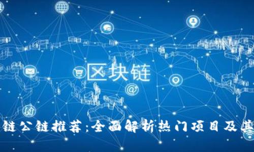 国内区块链公链推荐：全面解析热门项目及其潜在价值