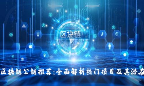 国内区块链公链推荐：全面解析热门项目及其潜在价值