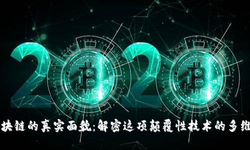 区块链的真实面貌：解密这项颠覆性技术的多维度