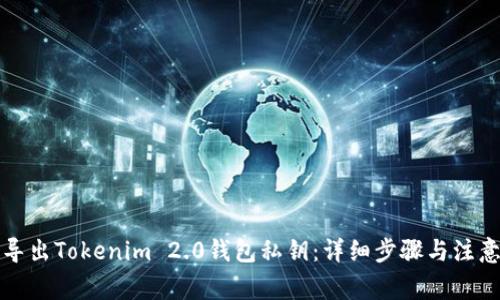如何导出Tokenim 2.0钱包私钥：详细步骤与注意事项