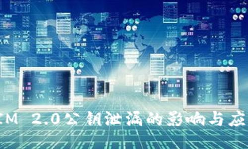 TokenIM 2.0公钥泄漏的影响与应对措施