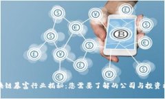 区块链暴富行业揭秘：您需要了解的公司与投资