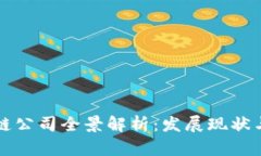泸州区块链公司全景解析：发展现状与未来趋势