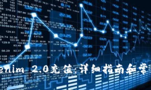 如何给Tokenim 2.0充值：详细指南和常见问题解答