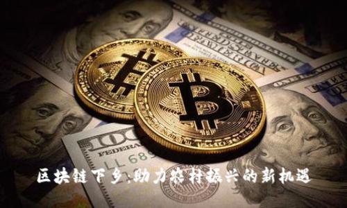 区块链下乡：助力农村振兴的新机遇