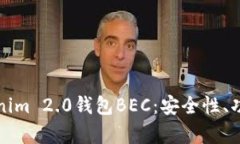全面解析Tokenim 2.0钱包BEC：安全性、功能与使用指