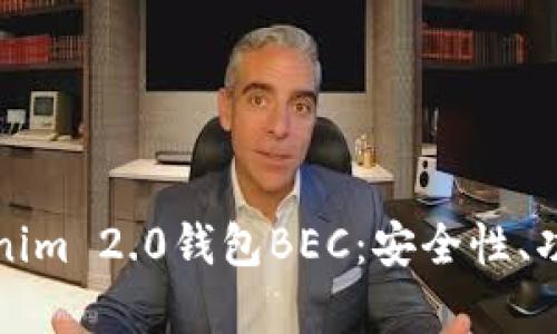 全面解析Tokenim 2.0钱包BEC：安全性、功能与使用指南