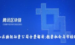 佛山区块链融资公司全景解析：投资机会与市场