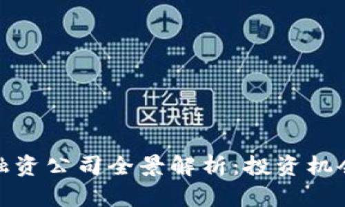 佛山区块链融资公司全景解析：投资机会与市场现状