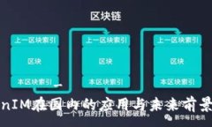 лючие-вопросы  TokenIM在国内的应用与未来前
