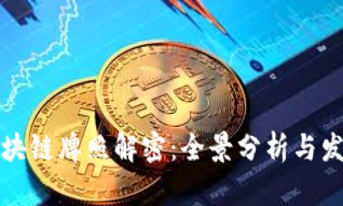 中国区块链牌照解密：全景分析与发展趋势