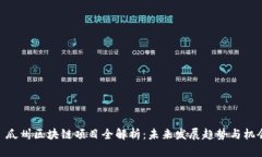 : 瓜州区块链项目全解析：未来发展趋势与机会