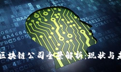 中贸区区块链公司全景解析：现状与未来发展