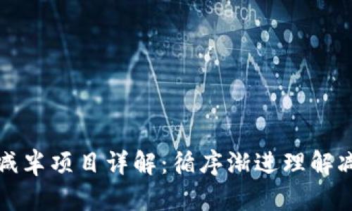 区块链减半项目详解：循序渐进理解减半机制