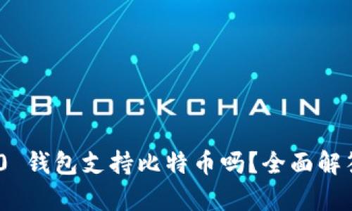 Tokenim 2.0 钱包支持比特币吗?全面解答及深入解析