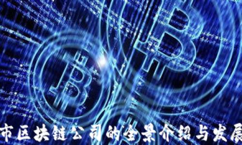 
邳州市区块链公司的全景介绍与发展现状