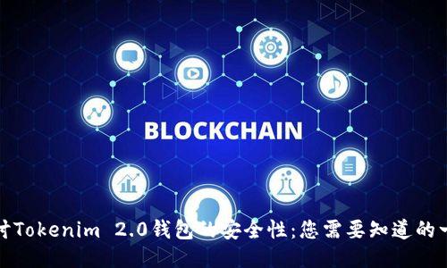 探讨Tokenim 2.0钱包的安全性：您需要知道的一切