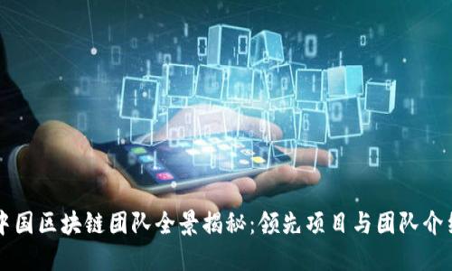 中国区块链团队全景揭秘：领先项目与团队介绍