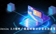Tokenim 2.0转账广播超时解决方案与注意事项