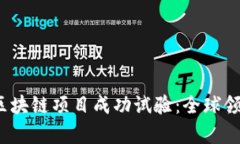 2023年的区块链项目成功试验：全球领先案例解析